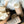 Load image into Gallery viewer, Cocoa & Shea Raw Organic Lotion Stick