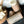 Load image into Gallery viewer, Cocoa & Shea Raw Organic Lotion Stick